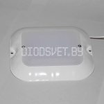 Светодиодный светильник 6Вт с матовым стеклом, медуза-6